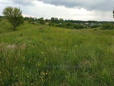 Buy a lot of land, agricultural, Kozhichi, Yavorivskiy district, id 4569639