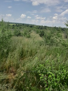 Купити ділянку, під забудову, Басівка, Пустомитівський район, id 4870699