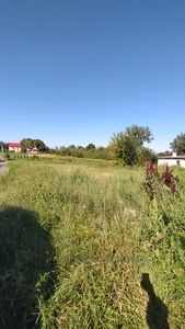 Buy a lot of land, Січових стрільців, Murovanoe, Pustomitivskiy district, id 4800109