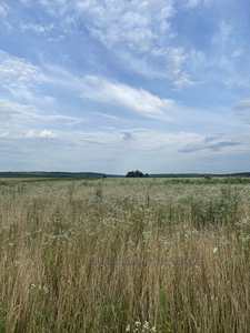 Buy a lot of land, for building, Tovshhiv, Pustomitivskiy district, id 4437531