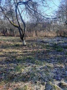 Buy a lot of land, Khmelnitskogo-vul, Vinniki, Lvivska_miskrada district, id 5072867