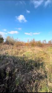 Buy a lot of land, gardening, Bilogorscha-vul, Lviv, Zaliznichniy district, id 5036495