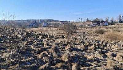 Купить участок, под застройку, Центральна, Виннички, Пустомытовский район, id 4861526