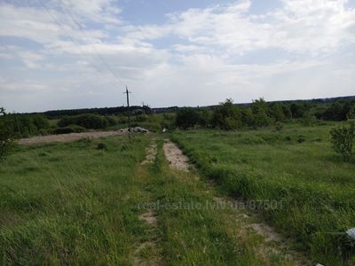 Buy a lot of land, Ряснянська, Pidryasnoe, Yavorivskiy district, id 4716178