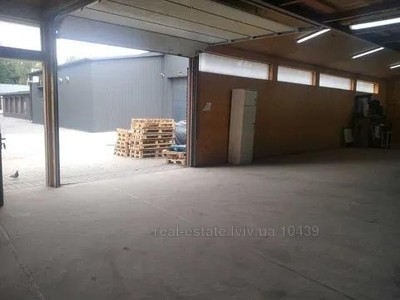 Commercial real estate for rent, Non-residential premises, Lipinskogo-V-vul, Lviv, Shevchenkivskiy district, id 4775395