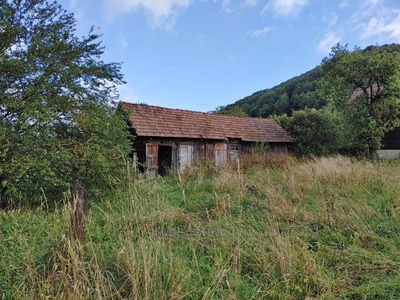 Buy a lot of land, agricultural, Карпатська, Grebeniv, Skolivskiy district, id 4702663