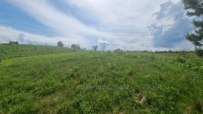 Buy a lot of land, for building, Domazhir, Yavorivskiy district, id 4779567