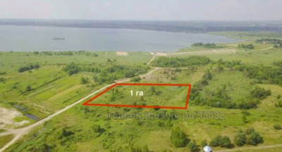 Buy a lot of land, agricultural, Ternovica, Yavorivskiy district, id 4776530