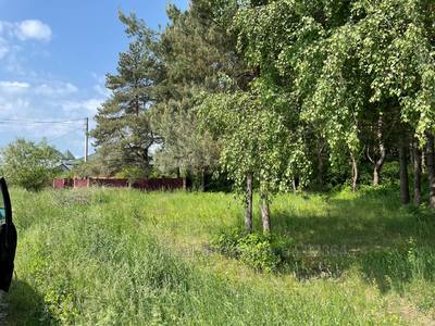 Buy a lot of land, for building, біля лісосмуги, Palanki, Yavorivskiy district, id 4827429