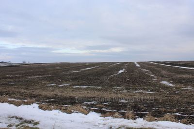 Buy a lot of land, agricultural, Nikolaev, Mikolajivskiy district, id 4761468