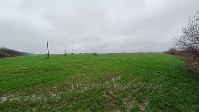 Buy a lot of land, 4 км до Львова, Nagoryany, Pustomitivskiy district, id 4589116