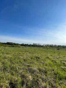 Buy a lot of land, for building, Kozhichi, Yavorivskiy district, id 4626365