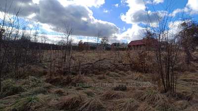 Buy a lot of land, agricultural, Sknilov, Pustomitivskiy district, id 5050205