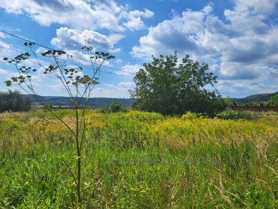 Buy a lot of land, Лісова, Volya Gomuleckaya, Zhovkivskiy district, id 4743164