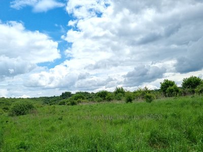 Buy a lot of land, for building, Сонячна, Malechkovichi, Pustomitivskiy district, id 4846277