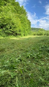 Buy a lot of land, gardening, Bryukhovichi, Lvivska_miskrada district, id 4750839