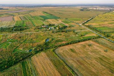 Buy a lot of land, gardening, Yavorivs'ka, 15, Gorodok, Gorodockiy district, id 5084366