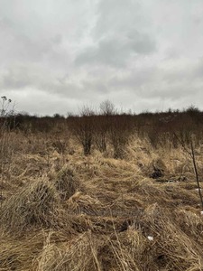 Купити ділянку, під забудову, Сокільники, Пустомитівський район, id 4746770