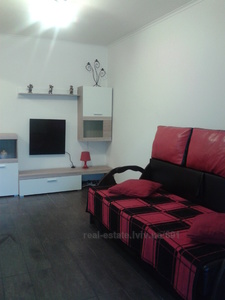 Vacation apartment, Knyagini-Olgi-vul, Lviv, Frankivskiy district, 1 room, 800 uah/day